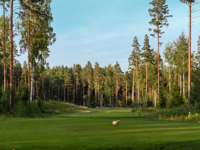 hc_saimaa_golf_vesak_p1120483_e4_08-2022.jpg