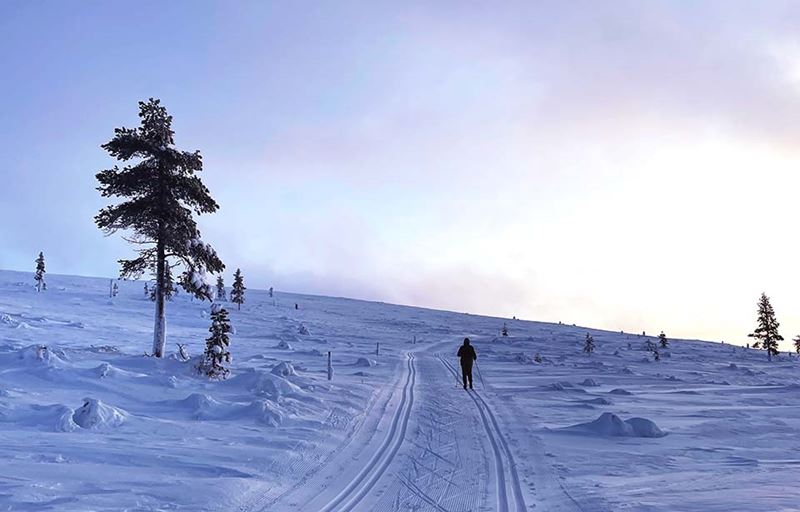 enni_saariselkä_960x614.jpg
