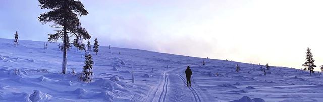 Hiihtoloma Saariselällä