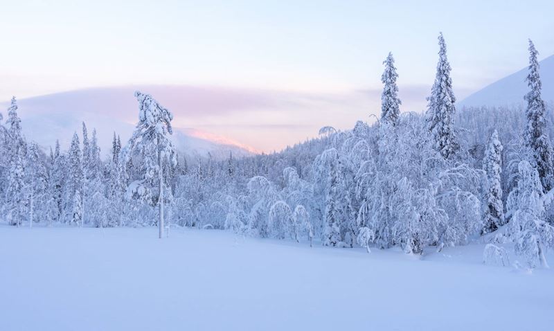 shutterstock_1893152869.jpg