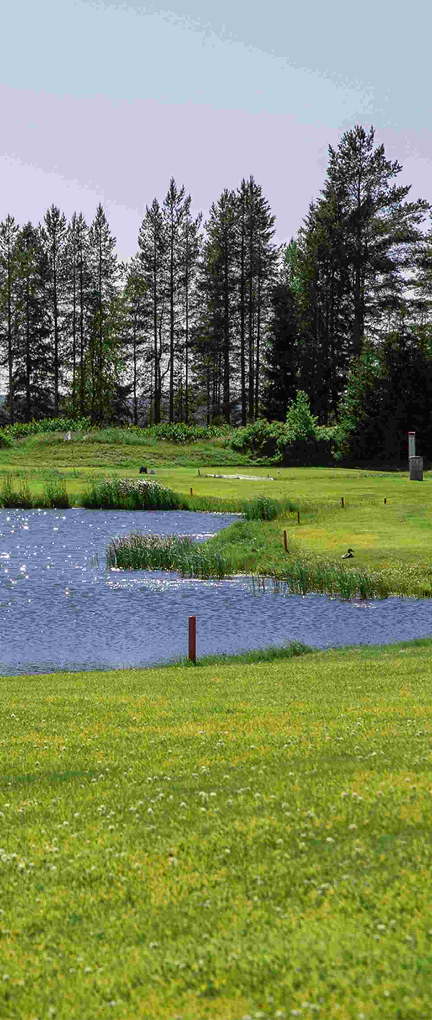 Katinkulta Golf