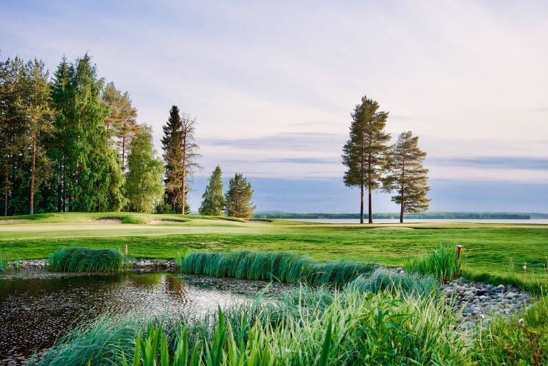 katinkulta_golf-kesa-2.jpg