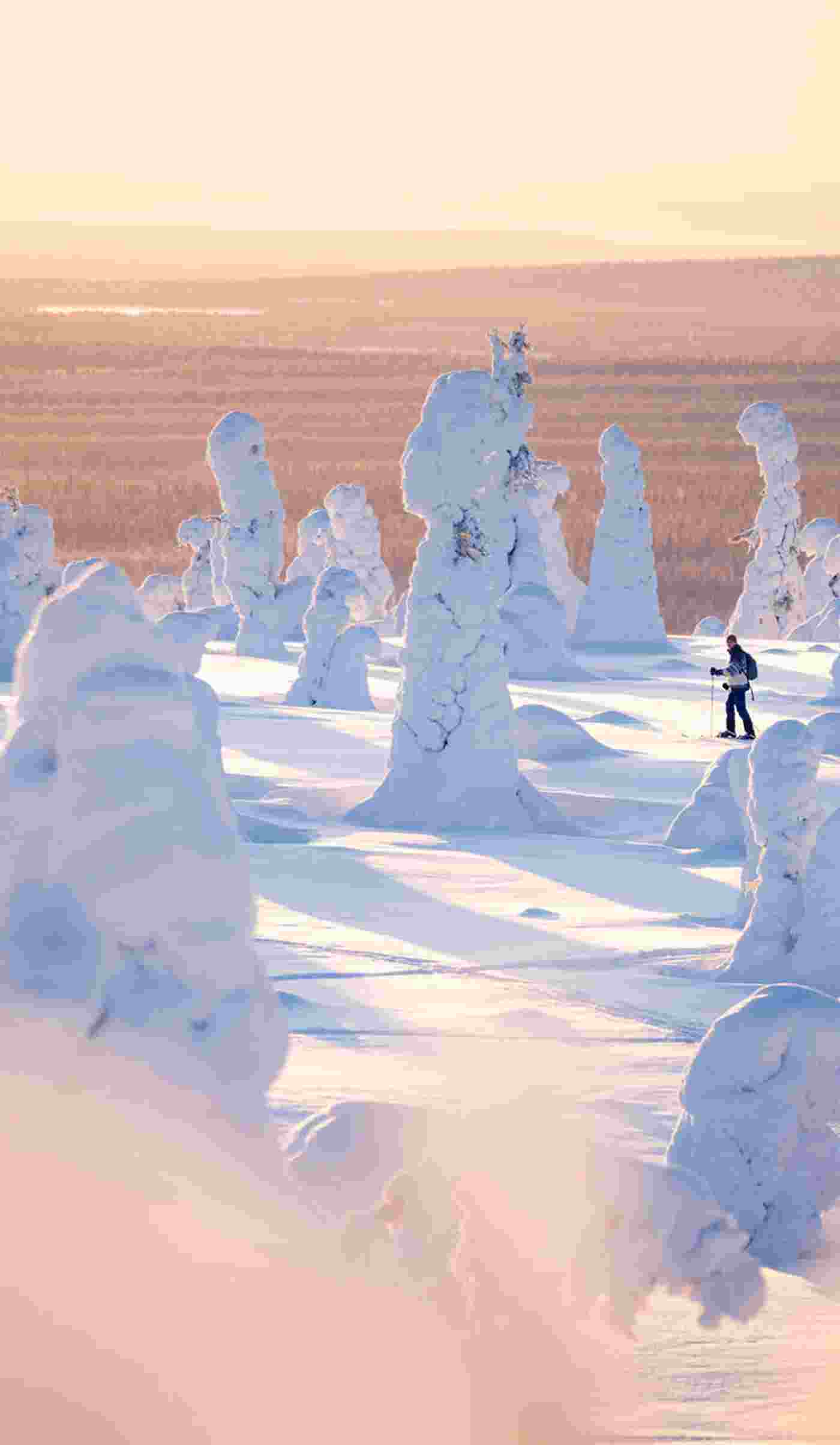 rukakuusamo_riisitunturi_outdoorapssionfinland_harritarvainen_highres32-1.jpg