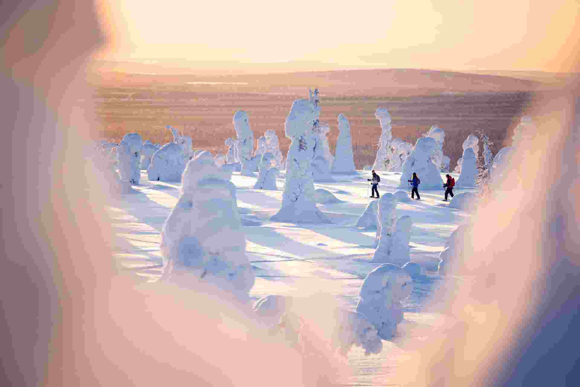rukakuusamo_riisitunturi_outdoorapssionfinland_harritarvainen_highres32.jpg