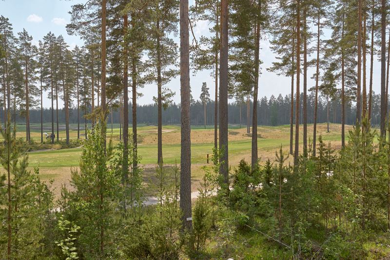 vierumaki4_hi-17.jpg