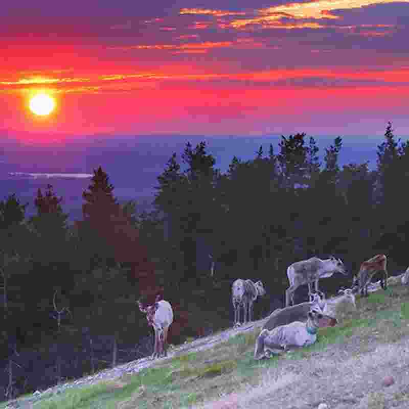 Ruka_aktiviteetit_465x465_03.jpg