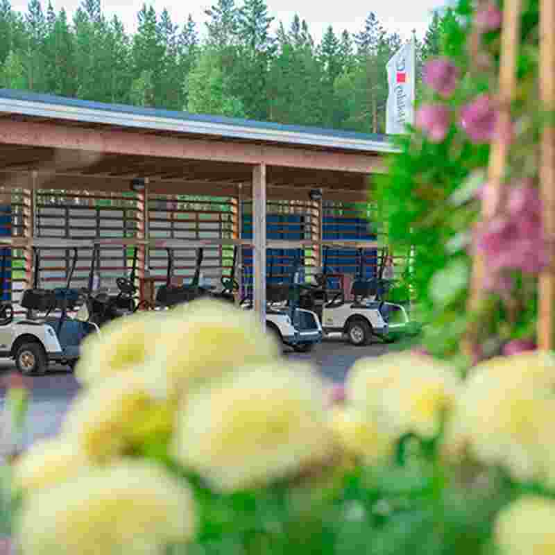 Saimaa_golf_cars_squ.jpg