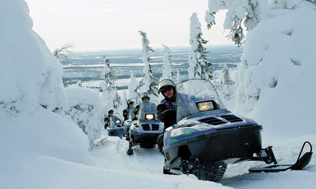 Safari to Russian border
