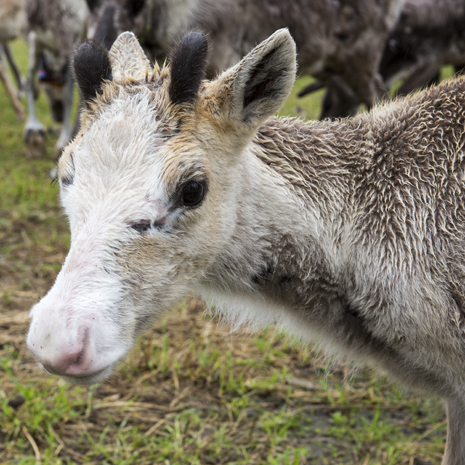 POV porno virtuaalinen