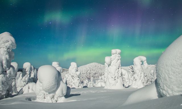 Sledge ride under the stars
