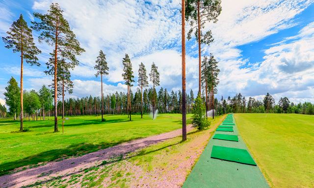 Vieläkö Green Card on kovaa valuuttaa bisneksessä?