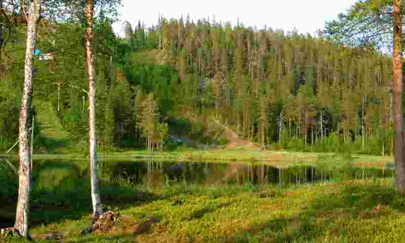 2 salla-kesämaisema hor.jpg