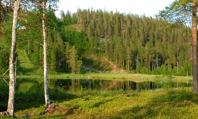 2 salla-kesämaisema hor.jpg