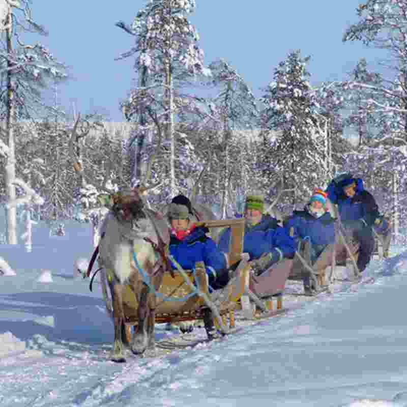 Salla-poropuisto-squ.jpg