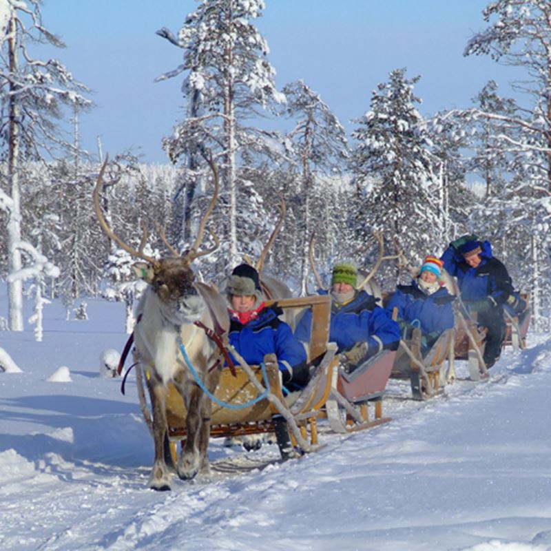 Salla-poropuisto-squ.jpg