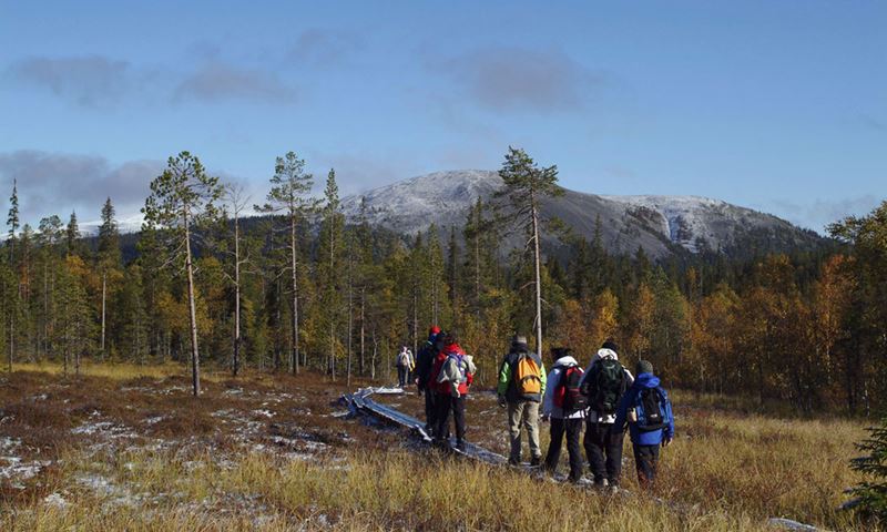 Ylläs-hiking-mountain-hor.jpg