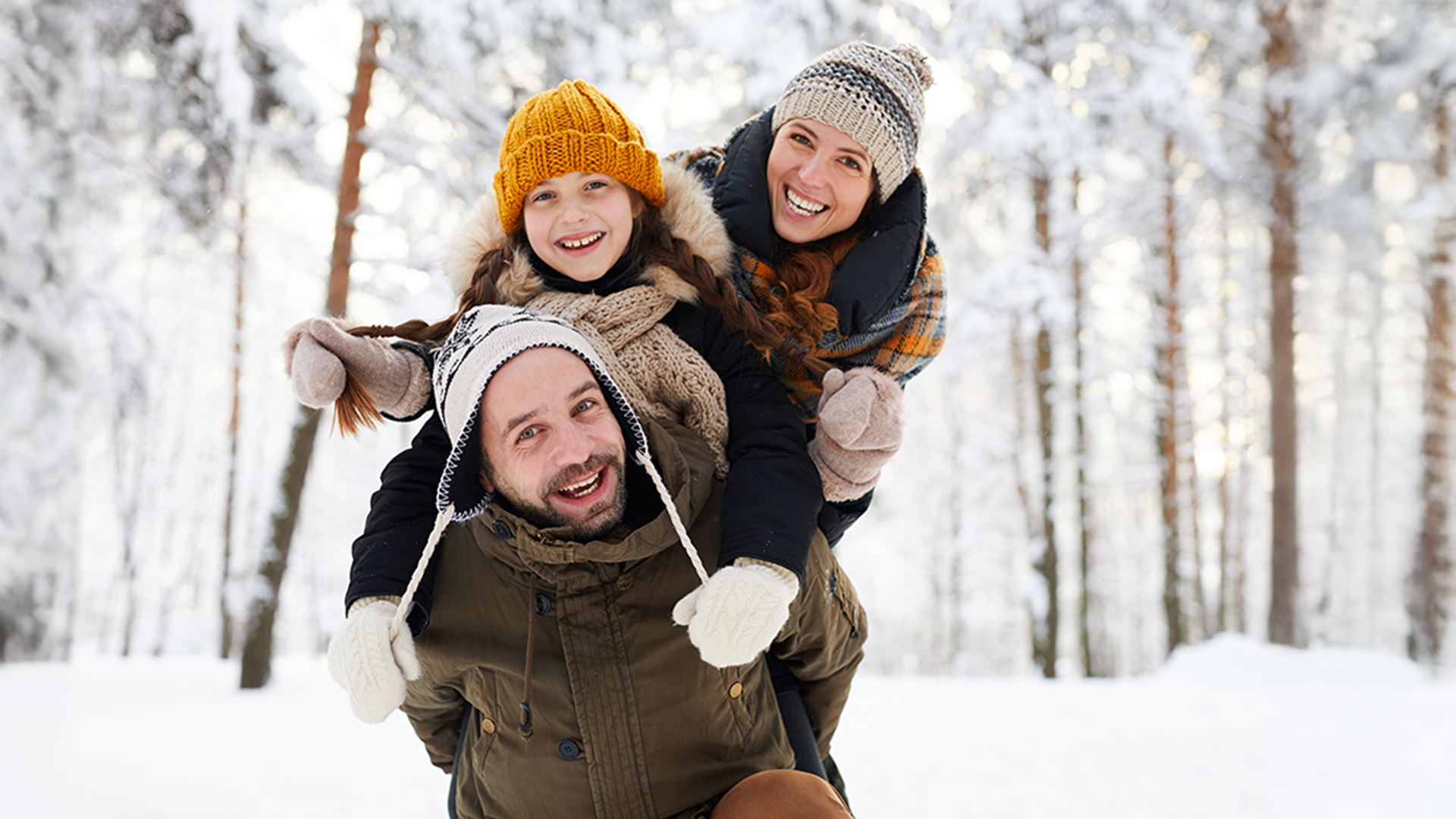 Book your next holiday