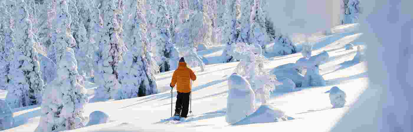 Unforgettable holidays in Finnish Lapland