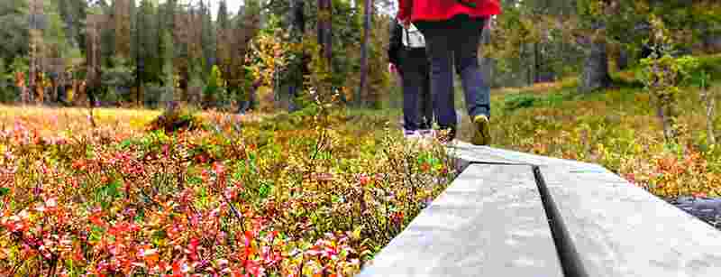 ruska-1042x400.jpg