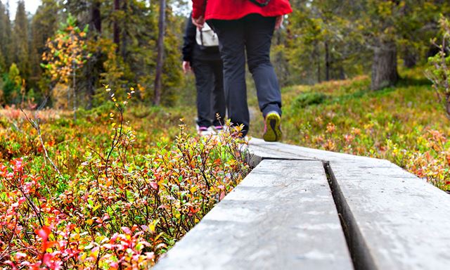 Осенний отдых в спа-отеле
